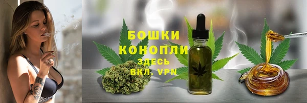 кокс Белокуриха