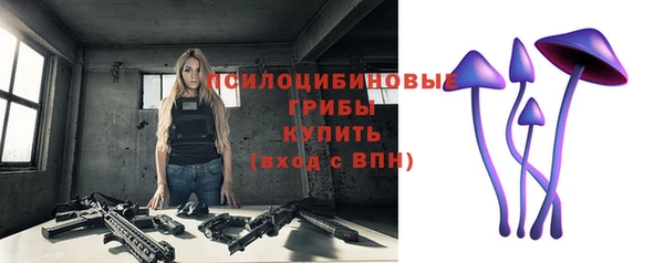 кокс Белокуриха