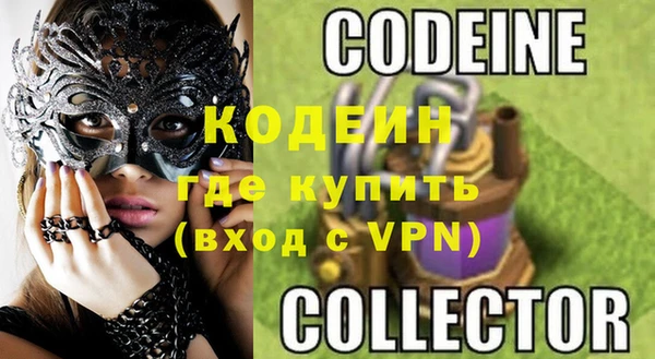 прущие грибы Сосновый Бор