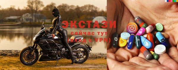 индика Сосновоборск